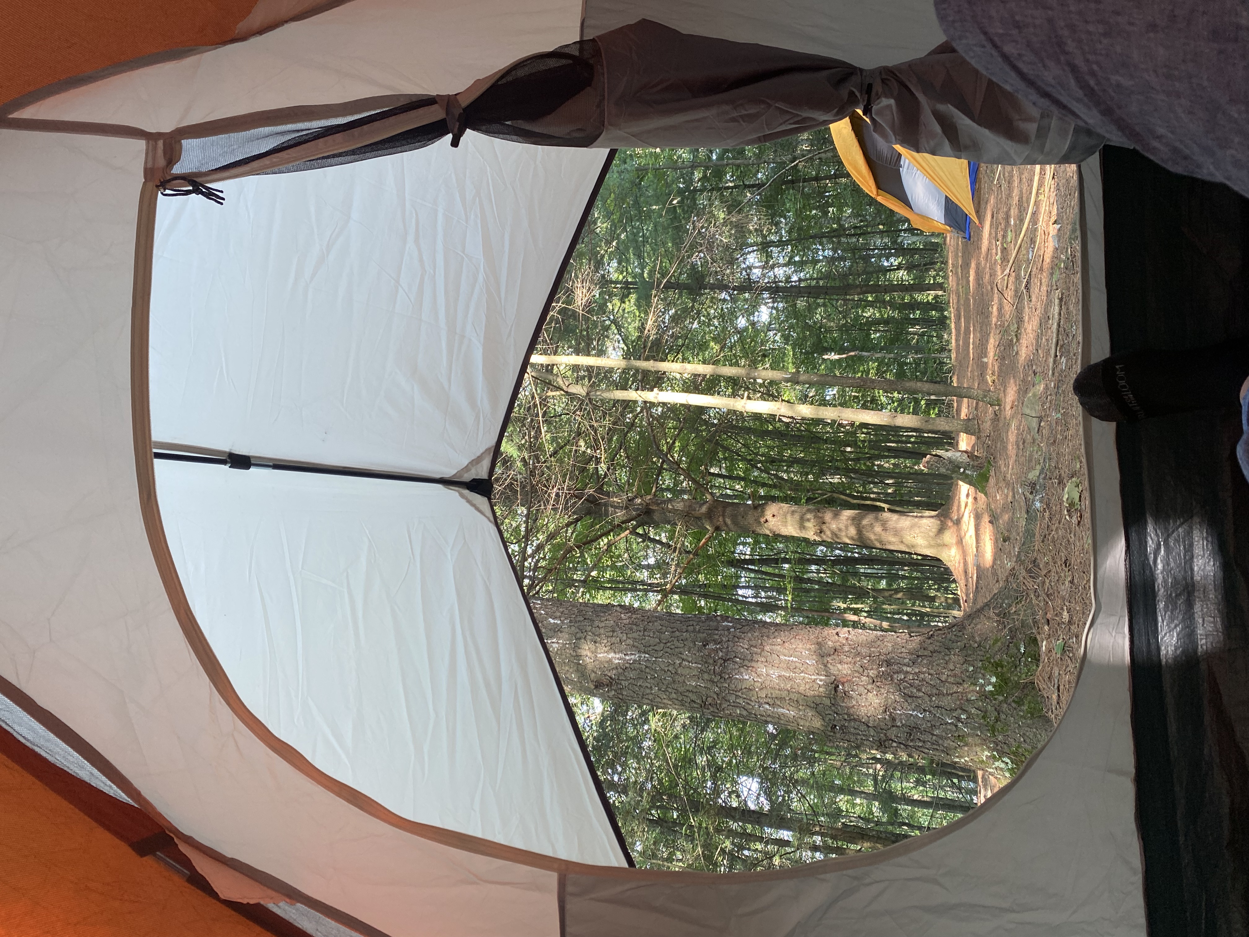 tent