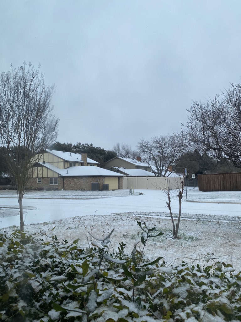 First snow in Dallas Khoi P. N. Nguyen